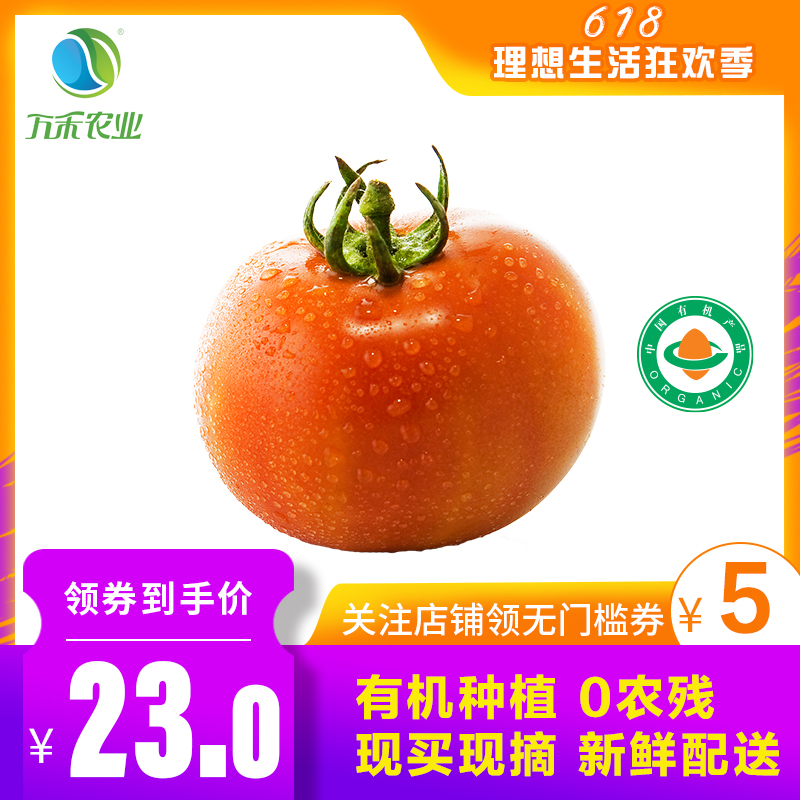 万禾农业 万禾 有机农场 有机大番茄 粉果大番茄 崇明 新鲜蔬菜|msdalam kategori daging perikanan/Buah-buahan segar dan sayur-sayuran/dimasak, sayur-sayuran segar/Vegetable Products, sayur-sayuran segar, lain - dari Buy2taobao.com untuk memberikan perkhidmatan ejen Taobao profesional membeli