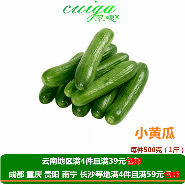 【翠嘎蔬菜】新鲜荷兰小黄瓜 沙拉迷你水果黄瓜500g 多地买满包邮在类目 水产肉类/新鲜蔬果/熟食, 新鲜蔬菜/蔬菜制品, 新鲜蔬菜, 其它中 - 来自Buy2taobao.com提供专业的淘宝代购服务