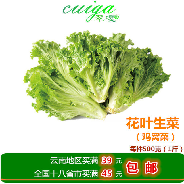 【翠嘎蔬菜】新鮮松葉花葉生菜 沙拉火鍋羅莎菜500g 多地買滿包郵在類目 水產肉類/新鮮蔬果/熟食, 新鮮蔬菜/蔬菜製品, 新鮮蔬菜, 其它中 - 來自Buy2taobao.com提供專業的淘寶代購服務