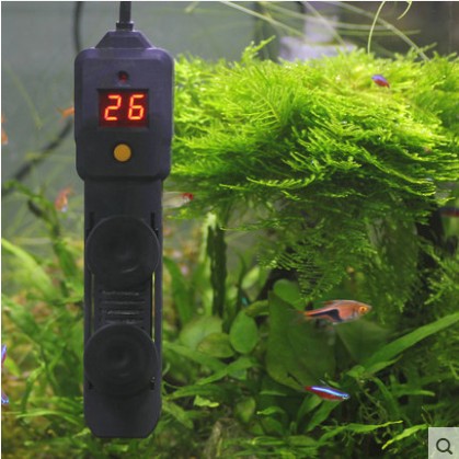 鱼缸加热棒 防爆带数显自动恒温耐用迷你水族箱乌龟缸加温棒|ruв категории животное/Животное питание и принадлежностей, аквариум мира, аквариум аквариум оборудования и т.д., устройство для регулирования температуры - от Buy2taobao.com для оказания профессиональной услуги покупки агента Taobao