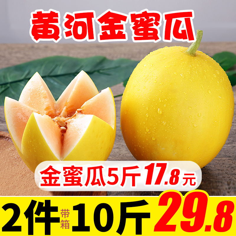 The Yellow River melon Cantaloupe fresh fruit 2 pieces with boxes. 10 Jin Gold melon Seasonin the Aquatic meat/Fresh fruits and vegetables/Cooked , Fresh fruit , Cantaloupe category - from Buy2taobao.com to provide professional Taobao agent buy service