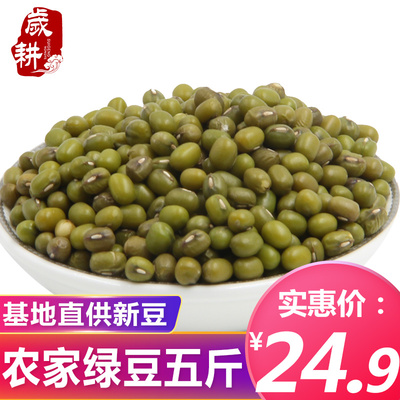 绿豆新鲜农家小绿豆汤绿豆粥原料散装杂粮2500g包邮5斤