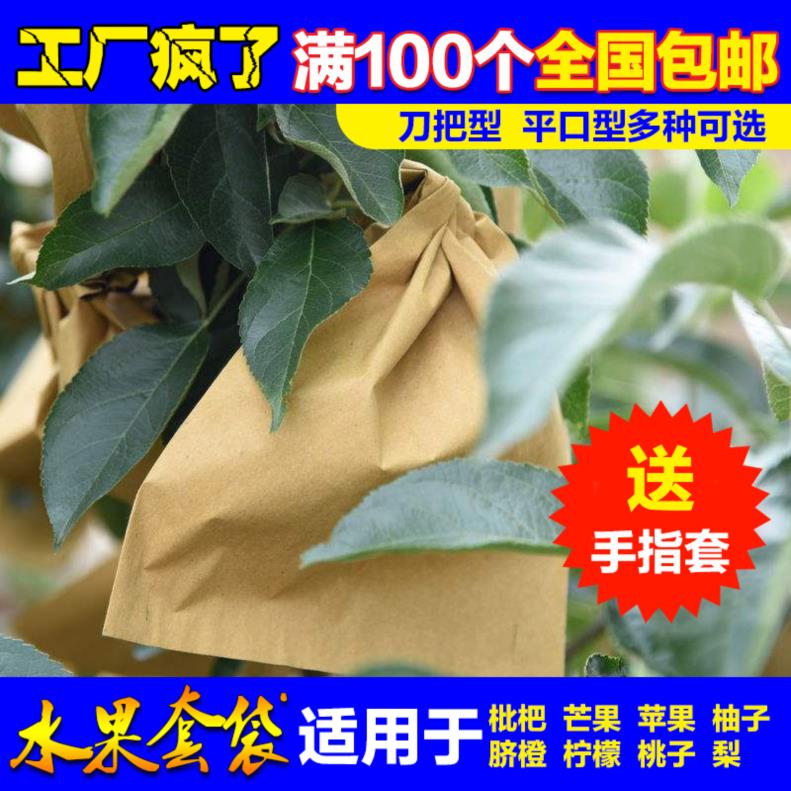 枇杷芒果专用套袋桃袋子苹果梨套袋橘子套袋脐橙套袋柚子水果纸袋在类目 鲜花速递/花卉仿真/绿植园艺, 园艺用品, 其它园艺用品中 - 来自Buy2taobao.com提供专业的淘宝代购服务