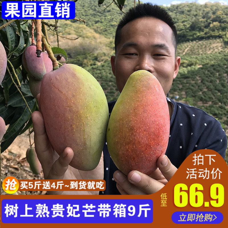 海南贵妃芒 特大果 带箱9斤 新鲜当季水果现摘树上熟红金龙包邮在类目 水产肉类/新鲜蔬果/熟食, 新鲜水果, 其它中 - 来自Buy2taobao.com提供专业的淘宝代购服务