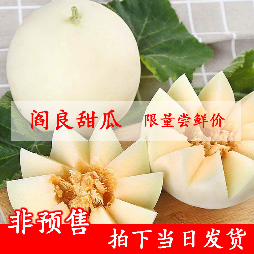 Shaanxi Yanliang muskmelon 10 fresh Season fruit Muskmelon Season Cantaloupe Melonin the Aquatic meat/Fresh fruits and vegetables/Cooked , Fresh fruit , Other category - from Buy2taobao.com to provide professional Taobao agent buy service