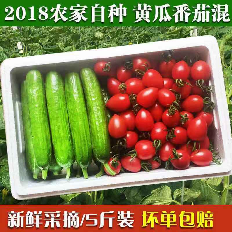 fresh Tomatoes Tomatoes Cherry tomatoes fruit Cucumber 5 pounds Mixed pack Farm Vegetables Special Offerin the Aquatic meat/Fresh fruits and vegetables/Cooked , Fresh vegetables/Vegetable products , Fresh vegetables , Tomatoes category - from Buy2taobao.com to provide professional Taobao agent buy service