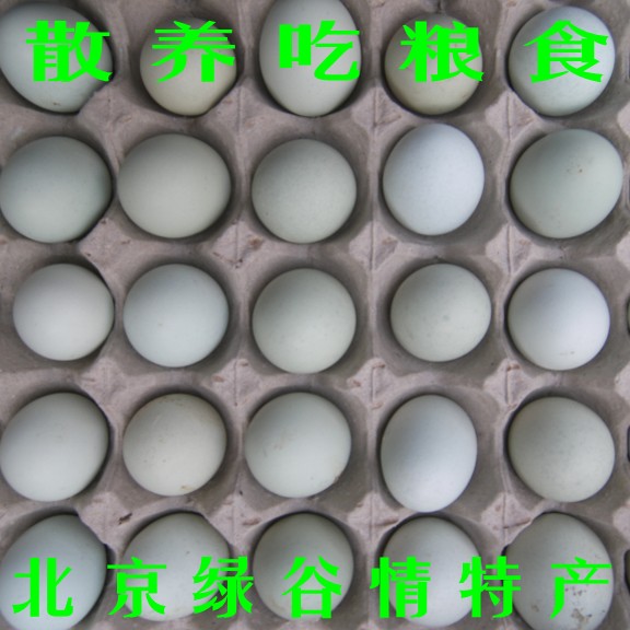 Farm Backyard fresh Raw egg green free range eggs Autotrophic Se Ukrainian eggs Pregnant tonic Sharein the Aquatic meat/Fresh fruits and vegetables/Cooked , Egg/Egg Products , Fresh eggs , Eggs category - from Buy2taobao.com to provide professional Taobao agent buy service