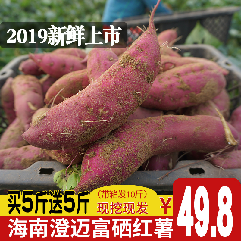 sweet potato fresh Hainan Bridge Sweet potato Se Farm Chinese chestnut sweet potato Sweet potato Hong potato 10 Jinin the Aquatic meat/Fresh fruits and vegetables/Cooked , Fresh vegetables/Vegetable products , Fresh vegetables , Sweet potato category - from Buy2taobao.com to provide professional Taobao agent buy service