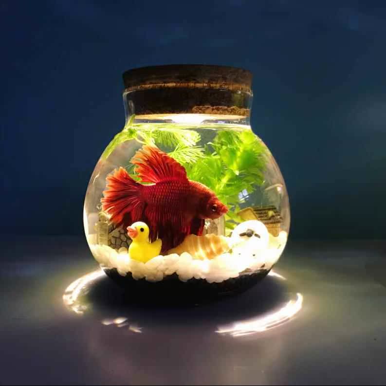 。微生物鱼虾景观鱼缸有机生态球桌面生物瓶创意海洋观赏鱼摆件|ruв категории животное/Животное питание и принадлежностей, аквариум мира, аквариум аквариум оборудования и т.д., экологическая бутылка/цилиндр творчества/рабочий столName - от Buy2taobao.com для оказания профессиональной услуги покупки агента Taobao