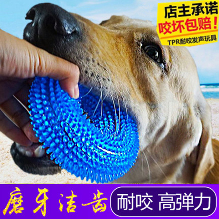 狗狗玩具发声玩具球泰迪法斗小狗金毛大型犬磨牙耐咬幼犬宠物用品|msdalam kategori haiwan peliharaan/makanan haiwan dan bekalan, Cat/Mainan anjing, mainan bunyi - dari Buy2taobao.com untuk memberikan perkhidmatan ejen Taobao profesional membeli