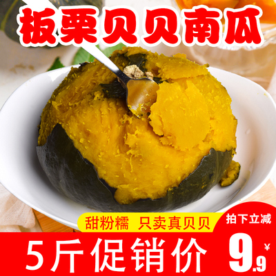甜糯贝贝南瓜板栗小南瓜板栗味沙漠栗子5斤新鲜东北窝瓜板栗南瓜