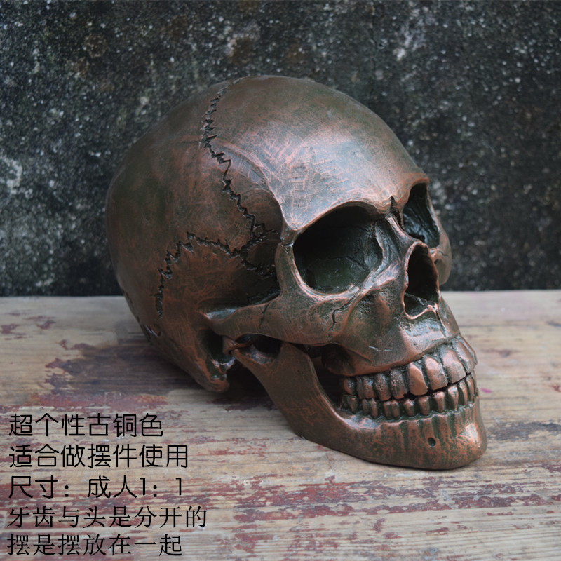 Skull model originality Toys Decoration Fine Arts Copy simulation resin skull specimen Holy festival trickyin the Toy/Childs/Puzzle/Building block/Model , Static model , Other model toys category - from Buy2taobao.com to provide professional Taobao agent buy service