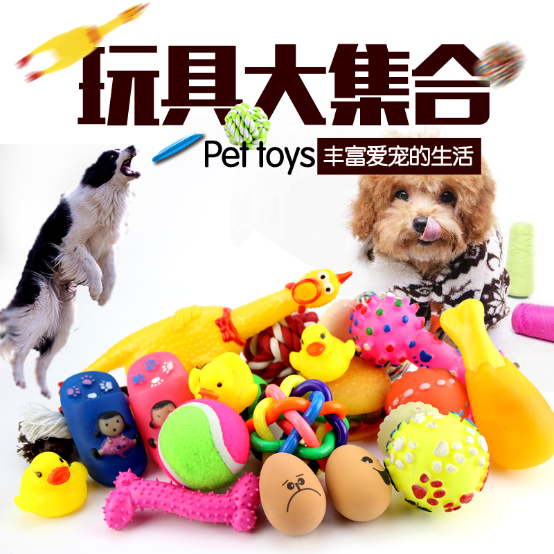 狗狗玩具用品宠物磨牙发声耐咬训练玩具泰迪比熊小狗狗猫咪玩具在类目 宠物/宠物食品及用品, 猫/狗玩具, 发声玩具中 - 来自Buy2taobao.com提供专业的淘宝代购服务