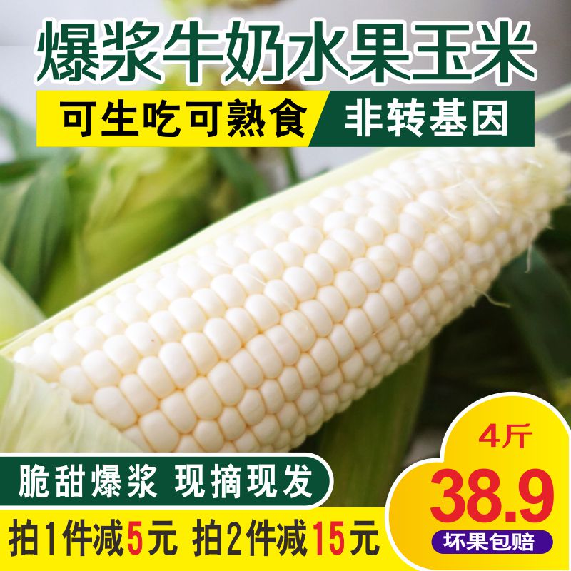 水果玉米甜玉米台湾新鲜冰糖牛奶玉米棒爆浆即食生吃北海道现摘包|msdalam kategori beras/Utara-Selatan barangan kering/perasa, meter/tepung/bijirin, jagung - dari Buy2taobao.com untuk memberikan perkhidmatan ejen Taobao profesional membeli