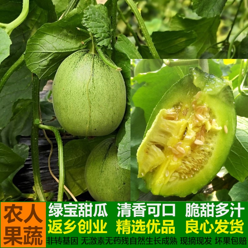 Emerald Melon 5 Crispy gemstone Small melon fresh Season fruit Claw honey Budin the Aquatic meat/Fresh fruits and vegetables/Cooked , Fresh fruit , Other category - from Buy2taobao.com to provide professional Taobao agent buy service