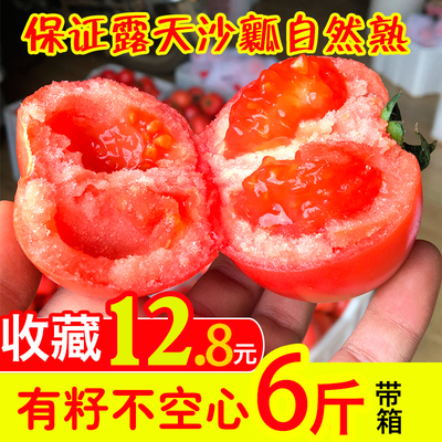 攀枝花米易沙瓤番茄普罗旺斯新鲜蔬菜自然熟西红柿露天5斤包邮