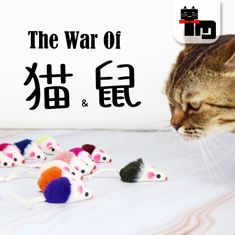 299元赠 土猫宠物 带砂响小老鼠猫玩具 2英寸双色兔皮毛老鼠5只装在类目 宠物/宠物食品及用品, 猫/狗玩具, 其它玩具中 - 来自Buy2taobao.com提供专业的淘宝代购服务