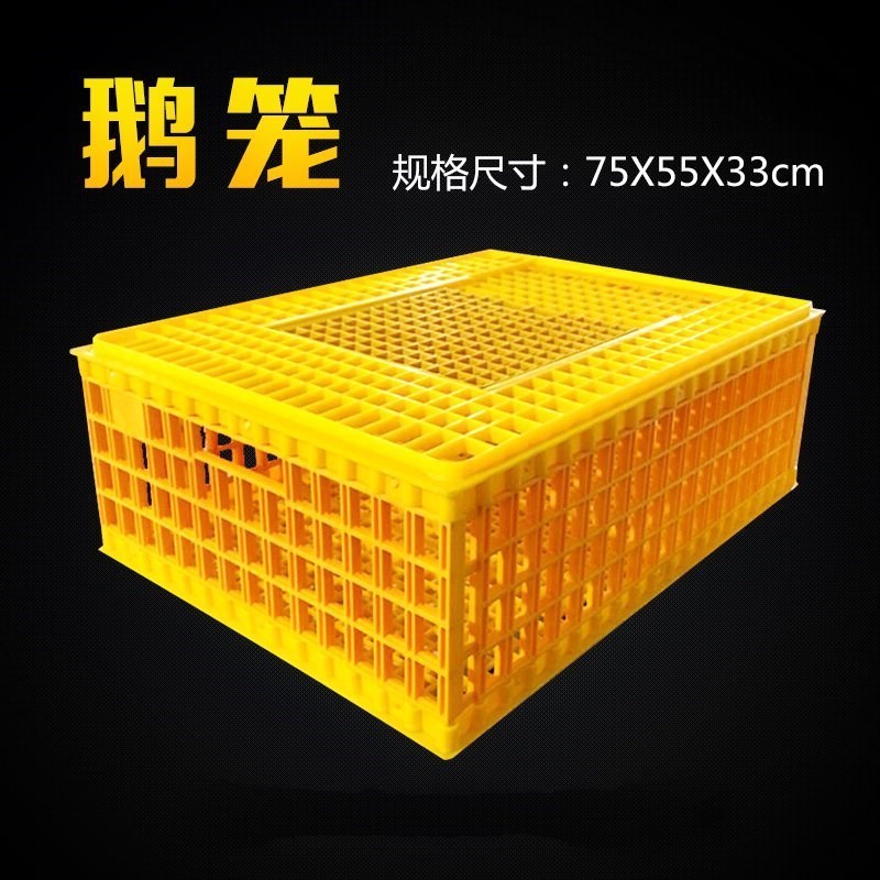 肉鸡框朔料装鸡鸭子的笼子鸭笼大号塑料鸡笼运输成鸡周转箱活鸡炫在类目 玩具/童车/益智/积木/模型, 电子/发光/充气/整蛊玩具, 塑料充气玩具(其他材质勿放)中 - 来自Buy2taobao.com提供专业的淘宝代购服务