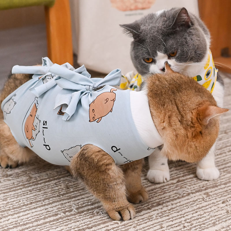 猫咪绝育服母猫绝育衣服手术服断奶服春夏季薄款防掉毛术后服防舔|ruв категории животное/Животное питание и принадлежностей, одежды и аксессуаров для домашних животных, домашний костюм/плащ - от Buy2taobao.com для оказания профессиональной услуги покупки агента Taobao
