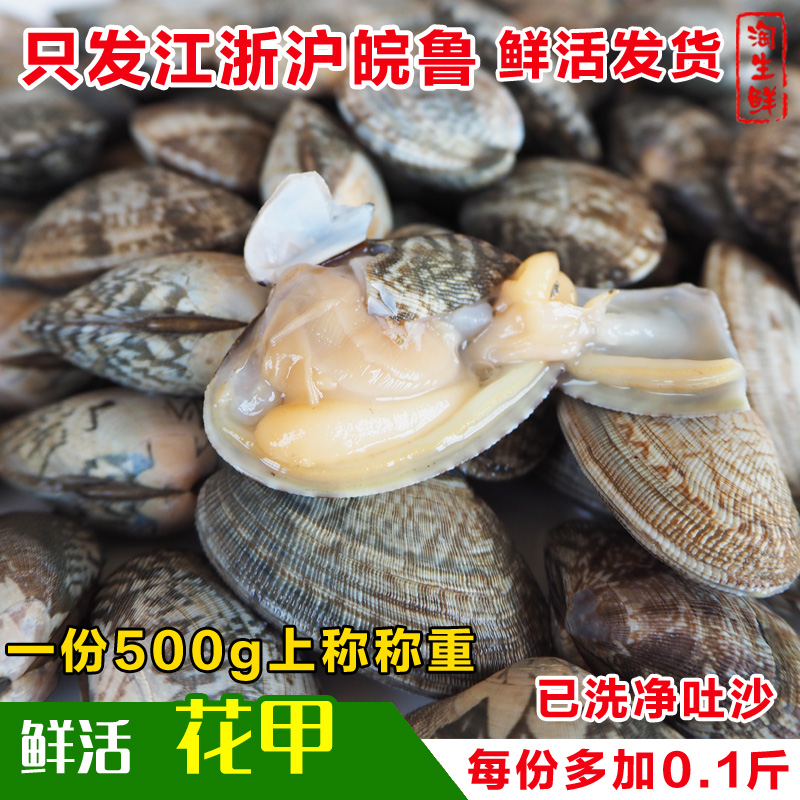 連雲港新鮮花蛤海鮮鮮活野生海貝類燒烤水産蛤蜊花甲蚬子活體發貨在類目 水產肉類/新鮮蔬果/熟食, 海鮮/水產品/製品, 貝類, 貝類製品中 - 來自Buy2taobao.com提供專業的淘寶代購服務