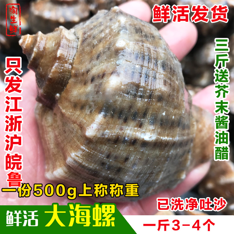連雲港野生大海螺海鮮貝類超大鮮海螺響螺生鮮活鮮水産500克3-4個在類目 水產肉類/新鮮蔬果/熟食, 海鮮/水產品/製品, 貝類, 貝類製品中 - 來自Buy2taobao.com提供專業的淘寶代購服務