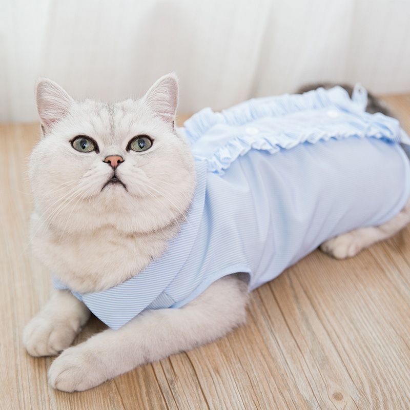 猫咪衣服春夏季装狗衣服搞怪可爱小猫猫宠物衣服防掉毛英短薄款在类目 宠物/宠物食品及用品, 宠物服饰及配件, 宠物服装/雨衣中 - 来自Buy2taobao.com提供专业的淘宝代购服务