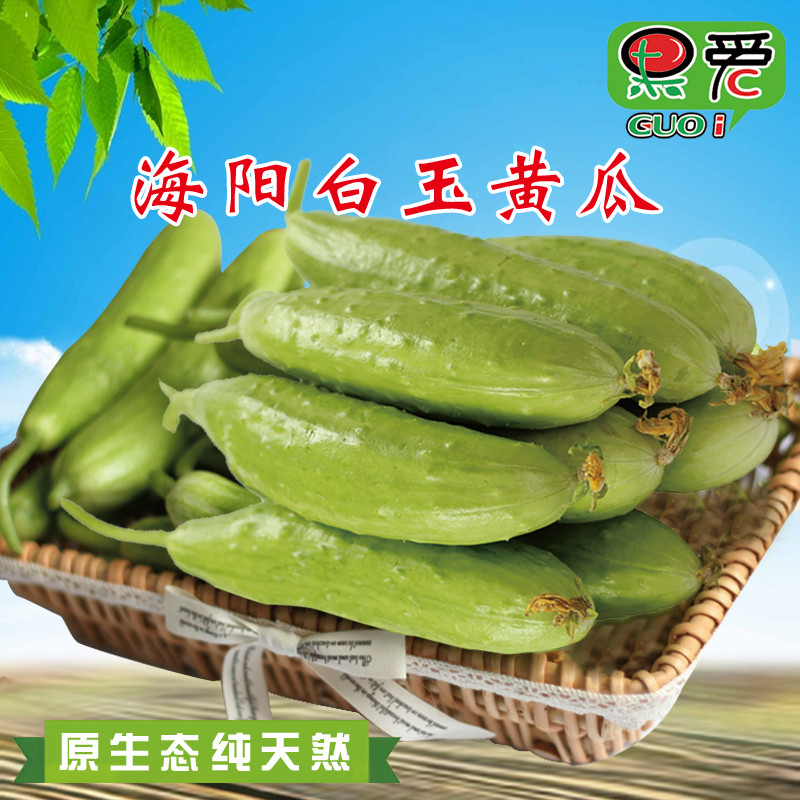 Haiyang White jade cucumber fresh Fruits and vegetables Cucumber 5 pounds Crisp cucumber cucumber Vegetables fruit Cucumberin the Aquatic meat/Fresh fruits and vegetables/Cooked , Fresh vegetables/Vegetable products , Fresh vegetables , Other category - from Buy2taobao.com to provide professional Taobao agent buy service