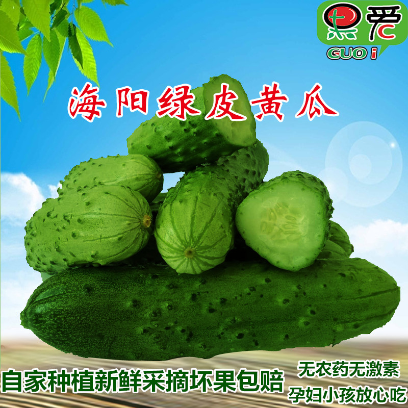 旱黃瓜 新鮮水果小黃瓜3斤脆嫩帶刺綠皮黃瓜非有機蔬菜水果黃瓜在類目 水產肉類/新鮮蔬果/熟食, 新鮮蔬菜/蔬菜製品, 新鮮蔬菜, 其它中 - 來自Buy2taobao.com提供專業的淘寶代購服務