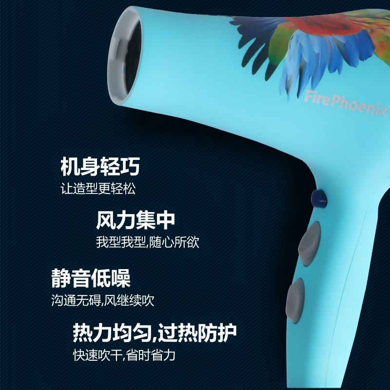 火之凤 金刚鹦鹉 5600A 大功率 沙龙 专用 吹风机 专业 电吹风|ruв категории личный уход/Здравоохранение/массажное оборудование, парикмахерских инструментов, фен - от Buy2taobao.com для оказания профессиональной услуги покупки агента Taobao