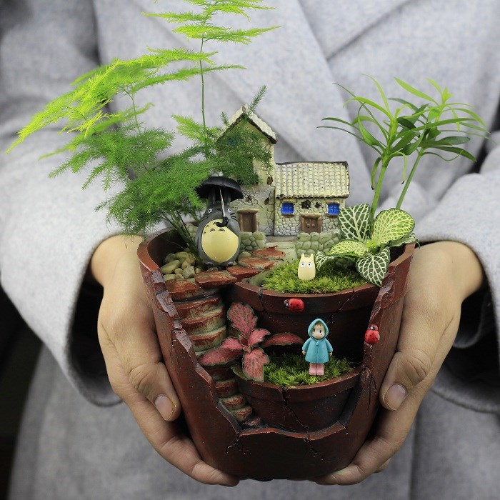 空中花园苔藓微景观生态瓶龙猫植物盆栽摆件办公室微缩DIY盆景|msdalam kategori penghantaran bunga/bunga simulasi/tumbuhan berkebun, Plants Mini kreatif - dari Buy2taobao.com untuk memberikan perkhidmatan ejen Taobao profesional membeli