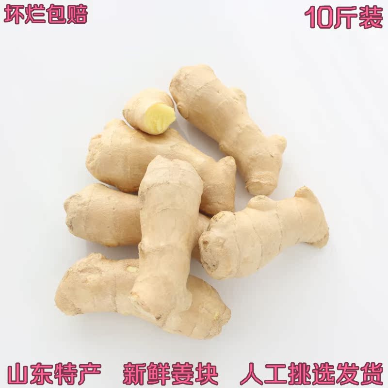 生姜老姜新鲜10斤包邮泡脚山东大姜黄姜特产风干姜块嫩姜低价食用|msdalam kategori daging perikanan/Buah-buahan segar dan sayur-sayuran/dimasak, sayur-sayuran segar/Vegetable Products, Ginger - dari Buy2taobao.com untuk memberikan perkhidmatan ejen Taobao profesional membeli