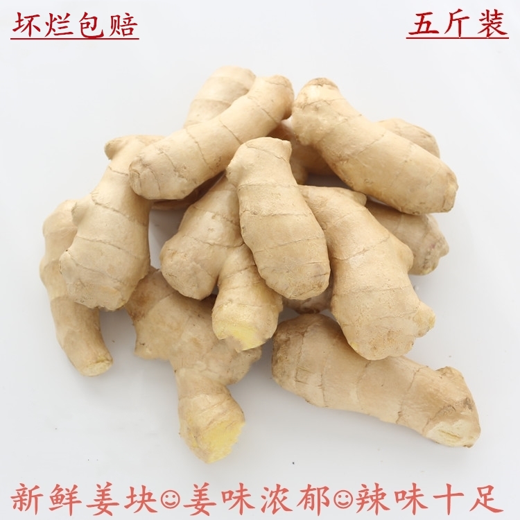 ginger Ginger fresh Shandong ginger tender ginger Turmeric fresh Bulk Air drying ediblein the Aquatic meat/Fresh fruits and vegetables/Cooked , Fresh vegetables/Vegetable products , Ginger category - from Buy2taobao.com to provide professional Taobao agent buy service