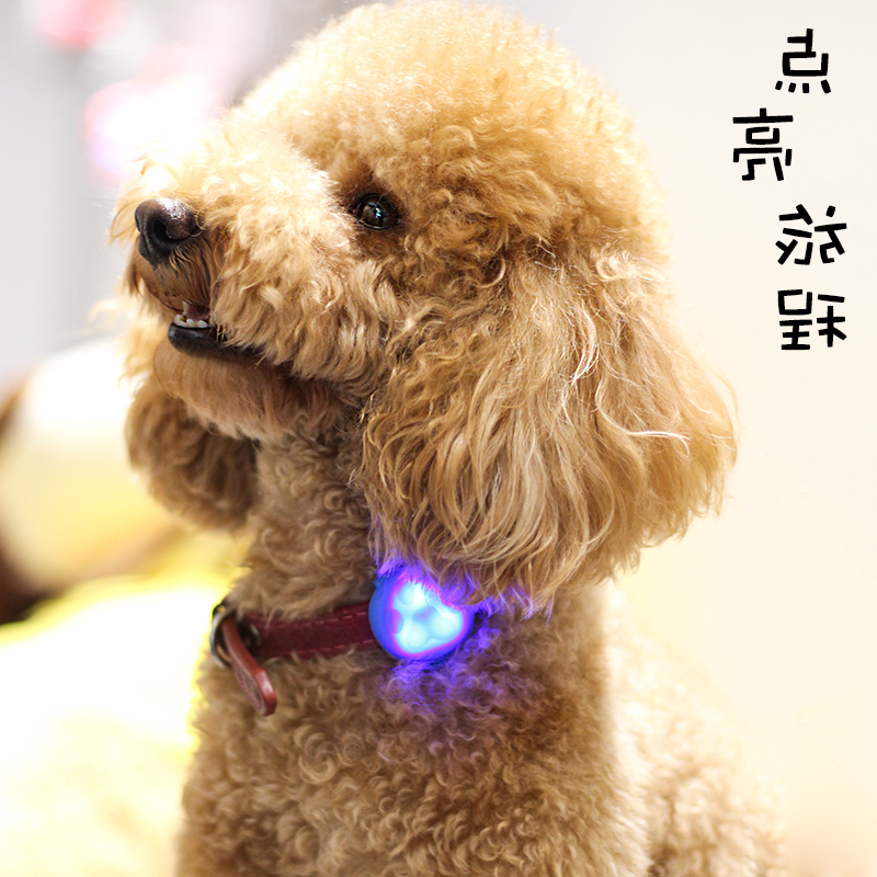 Dogs Tag Dogs Pets Listing Luminous LED Walk the dog Pendant Dog Tags Cat licensing Petsin the Pet/Pet food and supplies , Pet apparel and accessories , Ornaments/Listing category - from Buy2taobao.com to provide professional Taobao agent buy service