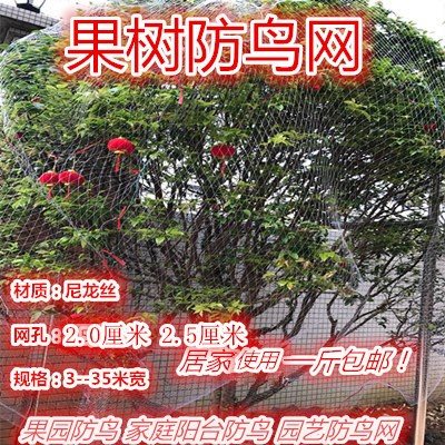 防鳥網透明白色綜絲尼龍防鳥網泥鳅養殖 葡萄果園果樹櫻桃魚線網在類目 鮮花速遞/花卉仿真/綠植園藝, 園藝用品, 其它園藝用品中 - 來自Buy2taobao.com提供專業的淘寶代購服務
