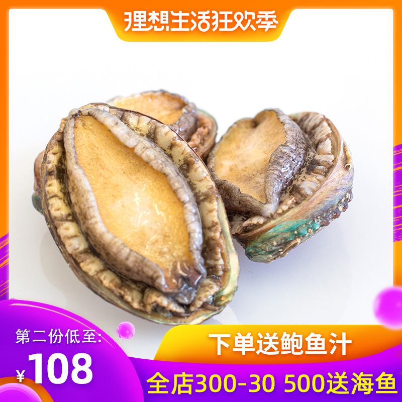 青岛特产鲜活小鲍鱼贝类海鲜水产野生新鲜鲍鱼特大10头超大鲍鱼在类目 水产肉类/新鲜蔬果/熟食, 海鲜/水产品/制品, 贝类, 鲍鱼中 - 来自Buy2taobao.com提供专业的淘宝代购服务