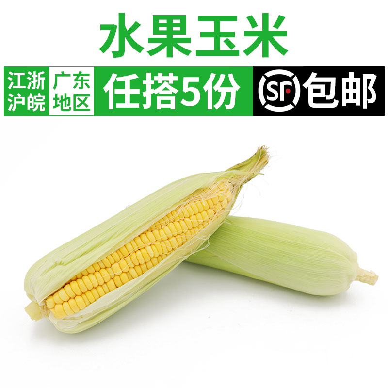 水果玉米350g 新鮮現摘牛奶冰糖甜玉米生玉米棒 任搭5份順豐包郵在類目 水產肉類/新鮮蔬果/熟食, 新鮮蔬菜/蔬菜製品, 新鮮蔬菜, 新鮮玉米中 - 來自Buy2taobao.com提供專業的淘寶代購服務