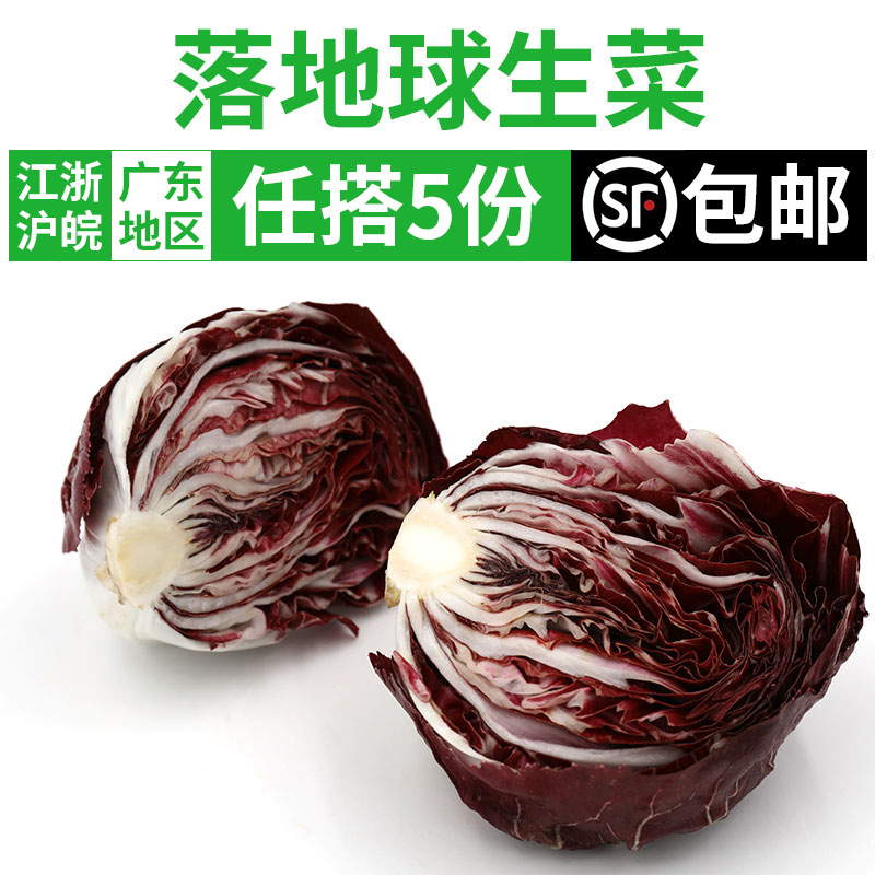 落地球生菜300g 紫苣紅菊苣新鮮蔬菜沙拉食材生吃江浙滬皖5包郵在類目 水產肉類/新鮮蔬果/熟食, 新鮮蔬菜/蔬菜製品, 新鮮蔬菜, 其它中 - 來自Buy2taobao.com提供專業的淘寶代購服務
