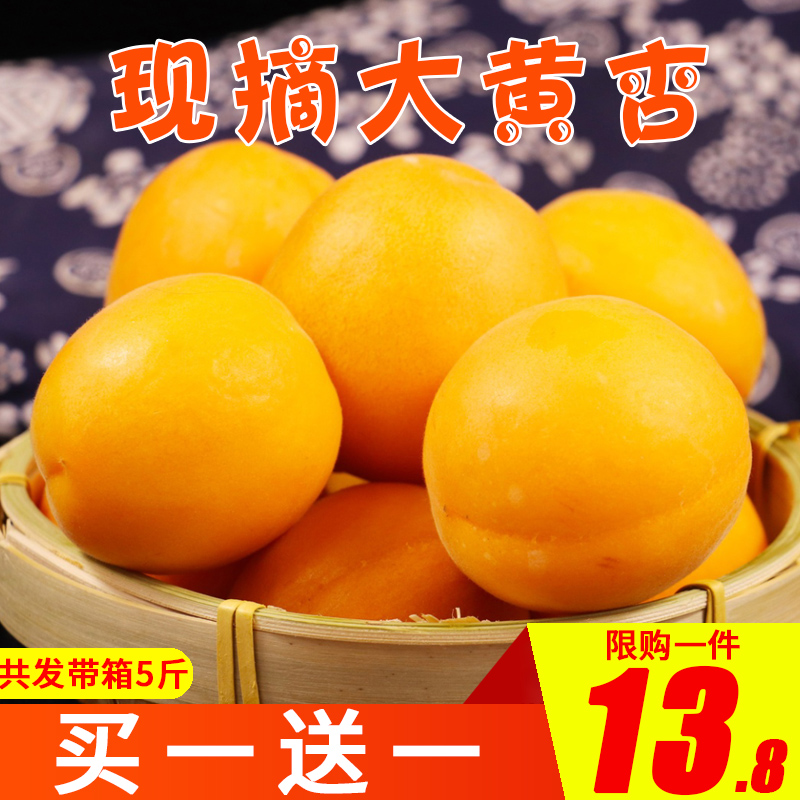 陕西5斤大黄杏孕妇杏子金太阳黄杏新鲜水果带箱当季特产批发包邮在类目 水产肉类/新鲜蔬果/熟食, 新鲜水果, 其它中 - 来自Buy2taobao.com提供专业的淘宝代购服务