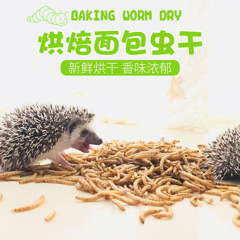 super Invincible Delicious snacks Mini Hedgehog Squid Hamsters Watkins Bear snacks Mealworms 70 gramin the Pet/Pet food and supplies , Class pet hamsters and other small , Feed/Snacks category - from Buy2taobao.com to provide professional Taobao agent buy service