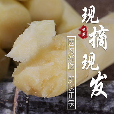 广西黑皮甘蔗包邮10斤多汁鲜甜新鲜整根现砍包甜送神器去皮削皮刀