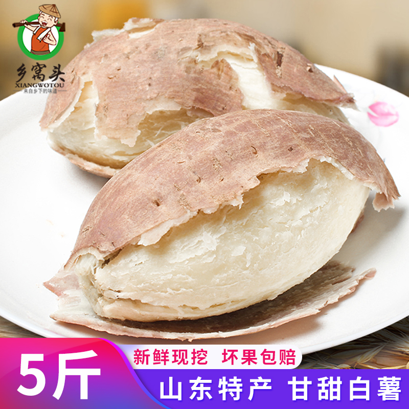 鄉窩頭高州爆皮王 面包王番薯 新鮮粉番薯 白肉幹面紅薯地瓜5斤在類目 水產肉類/新鮮蔬果/熟食, 新鮮蔬菜/蔬菜製品, 新鮮蔬菜, 番薯中 - 來自Buy2taobao.com提供專業的淘寶代購服務
