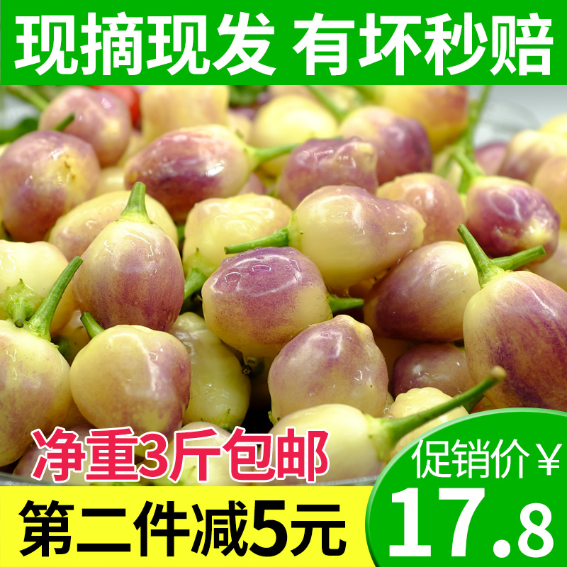 七彩椒辣椒 新鲜广西特产珍珠椒五彩椒现摘现发3斤五色灯笼椒包邮在类目 水产肉类/新鲜蔬果/熟食, 新鲜蔬菜/蔬菜制品, 新鲜蔬菜, 其它中 - 来自Buy2taobao.com提供专业的淘宝代购服务