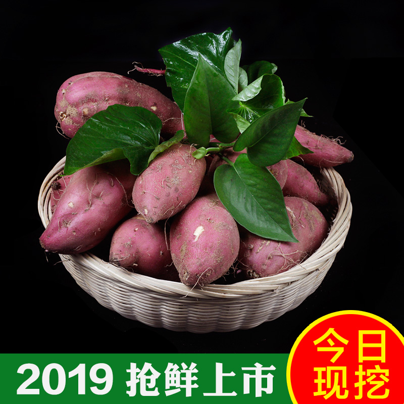 套海南澄邁橋頭富硒地瓜新鮮沙地紅薯包郵板栗番薯農家蜜薯特産在類目 水產肉類/新鮮蔬果/熟食, 新鮮蔬菜/蔬菜製品, 新鮮蔬菜, 番薯中 - 來自Buy2taobao.com提供專業的淘寶代購服務