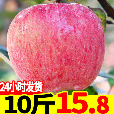 苹果水果10斤新鲜当季陕西红富士一整箱批应季冰糖心现季丑苹果脆