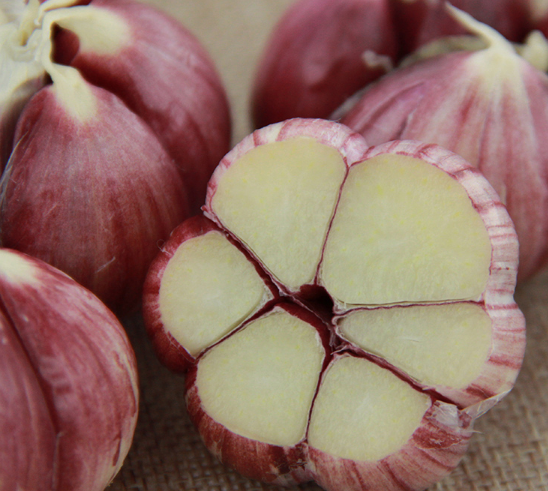 紫皮大蒜頭雲南 農家自種鮮蒜半幹家用多瓣蒜頭帶箱8斤新鮮大在類目 水產肉類/新鮮蔬果/熟食, 新鮮蔬菜/蔬菜製品, 大蒜中 - 來自Buy2taobao.com提供專業的淘寶代購服務