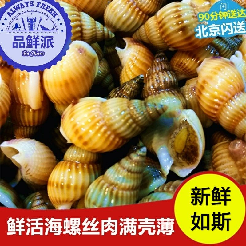 500g Fresh Shellfish Seafood Conch thread Sea seeds Big Sea seeds Beijingin the Aquatic meat/Fresh fruits and vegetables/Cooked , Seafood/Aquatic/Product , Shellfish , Shellfish Products category - from Buy2taobao.com to provide professional Taobao agent buy service
