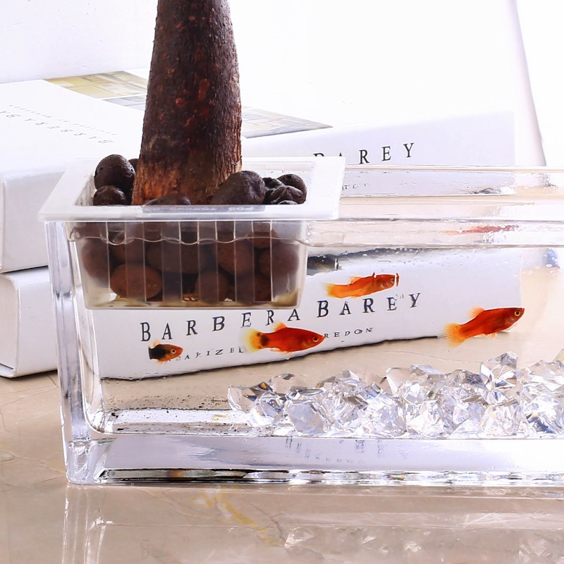 small-scale Aquarium originality Mini Glass Turtle tank ecology vase Landscaping Hydroponics originality fish tankin the Flower delivery/Flowers simulation/Plants gardening , Vase/Flower/Flowerpot/Flower (New) , Vase category - from Buy2taobao.com to provide professional Taobao agent buy service