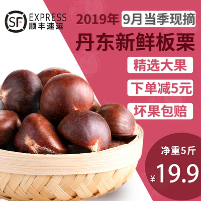 丹东板栗新鲜东北野生毛栗子带壳嫩油栗板栗仁生锥栗5斤顺丰包邮