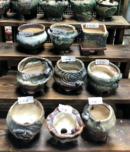 5/19韩国进口品牌花盆纯手工花盆多肉植物花盆 一物一拍31-40|ruв категории доставка цветов/цветок моделирования/растения садоводства, ваза/цветок/горшок/цветок (новый), горшок - от Buy2taobao.com для оказания профессиональной услуги покупки агента Taobao