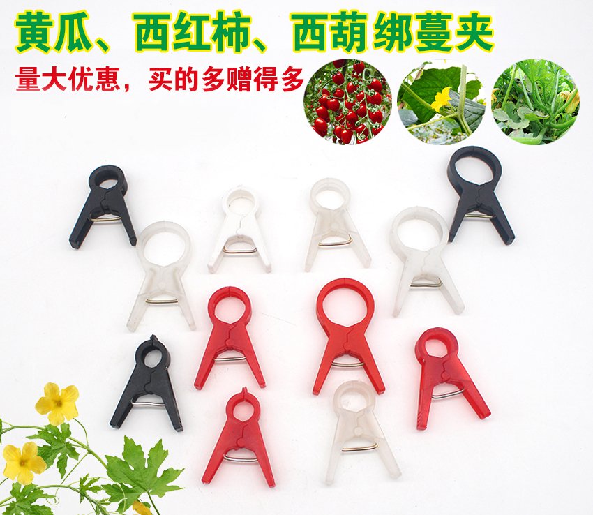 大棚番茄西葫芦黄瓜西红柿甜瓜丝瓜夹子吊秧夹落蔓落秧绑蔓扶蔓夹|msdalam kategori penghantaran bunga/bunga simulasi/tumbuhan berkebun, Gardening Supplies, Peralatan Perkebunan lain - dari Buy2taobao.com untuk memberikan perkhidmatan ejen Taobao profesional membeli
